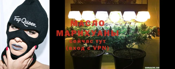 индика Надым