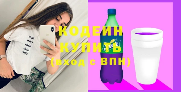 индика Надым