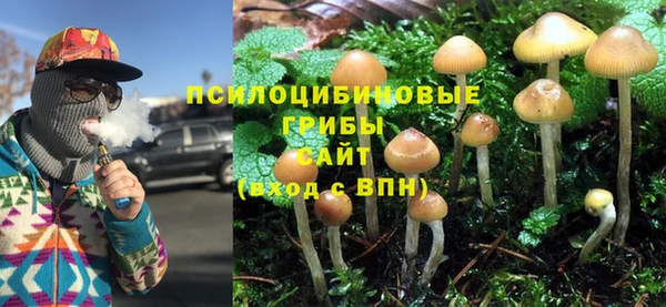 гашишное масло Михайлов