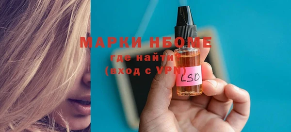 индика Надым