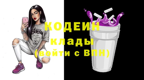 индика Надым