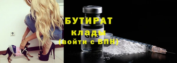 индика Надым