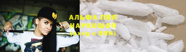 индика Надым