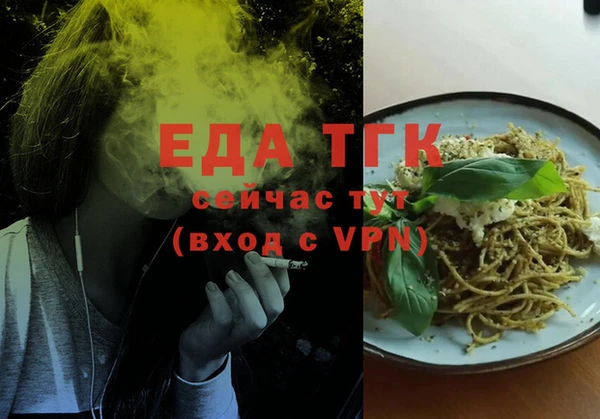 индика Надым