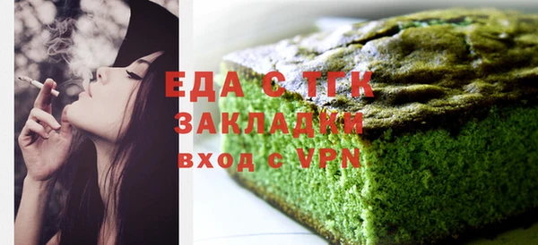 индика Надым