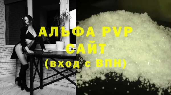 индика Надым